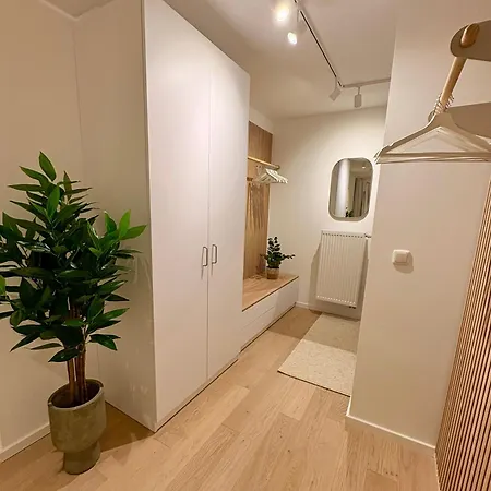 Apartman Cozy With Kitchen And Open Living *
