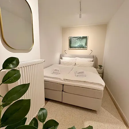 Cozy With Kitchen And Open Living *